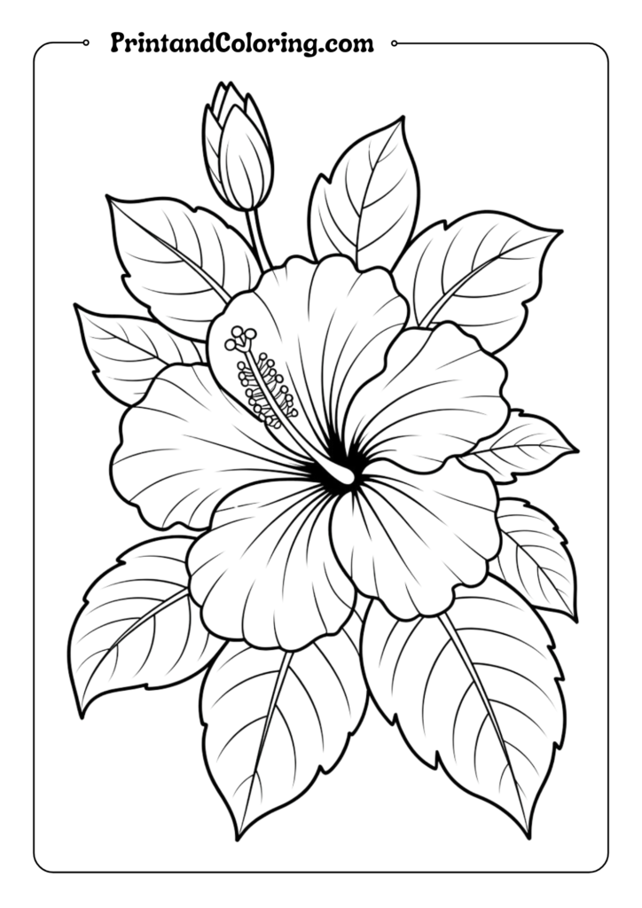 Hibiscus Tropical Paradise