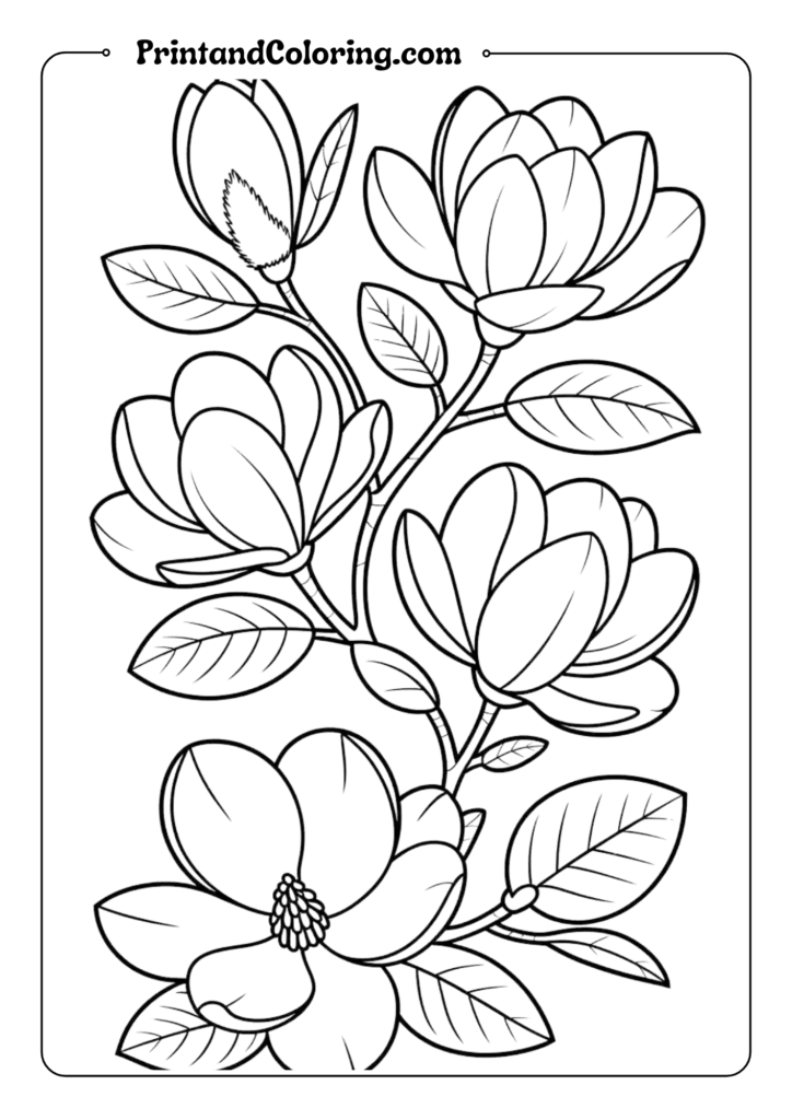 Magnolia Branch