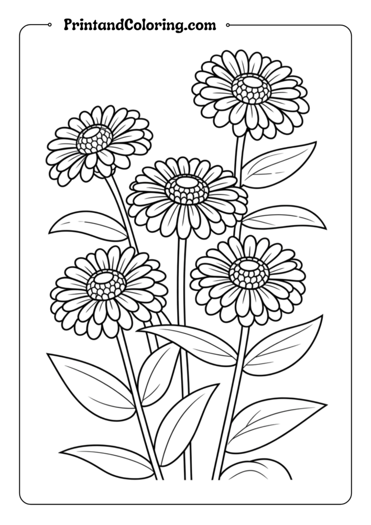 Zinnia Garden Border
